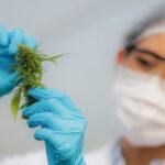 Canabidiol para Depressão