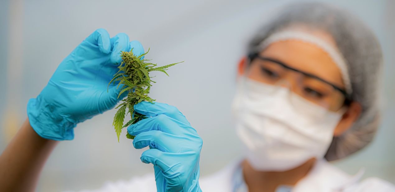 Canabidiol para Depressão