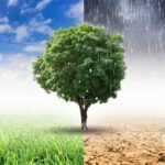 Homem bipolar no relacionamento: como lidar