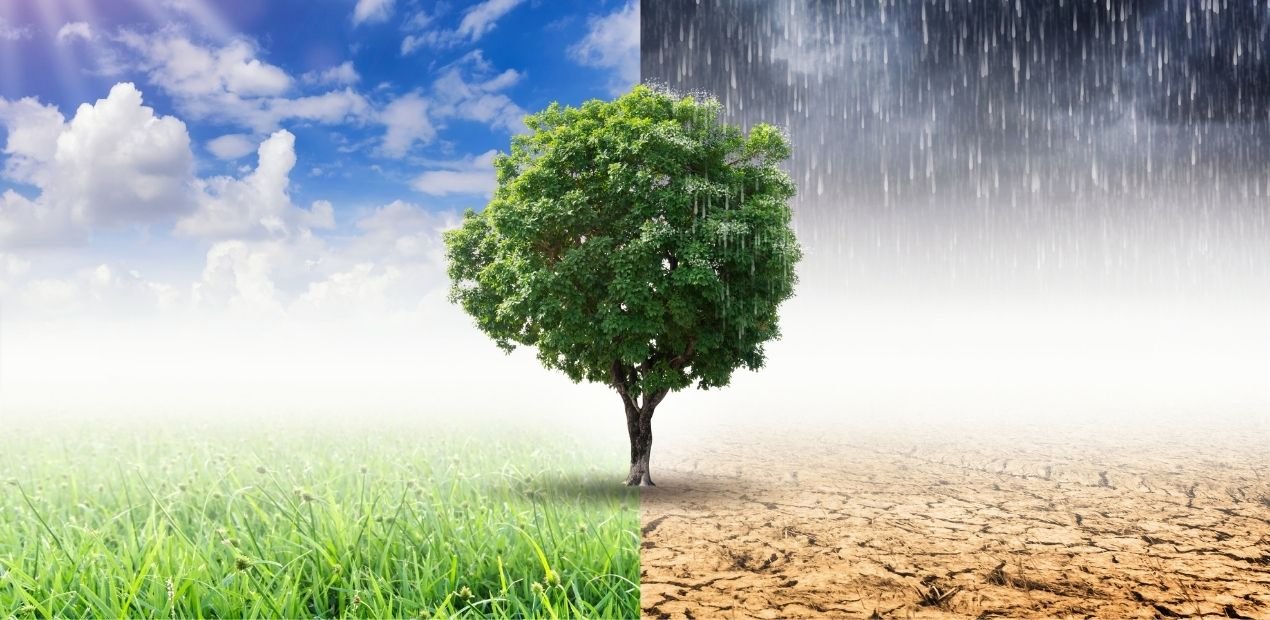 Homem bipolar no relacionamento: como lidar