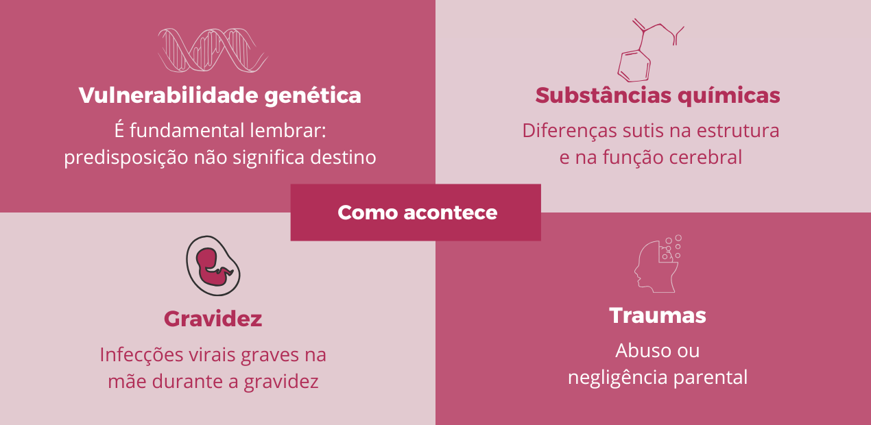 Infográfico explicativo dividido em quatro partes, detalhando os fatores de risco biológicos e ambientais, como genética e traumas, que contribuem para o desenvolvimento dos sintomas de esquizofrenia.