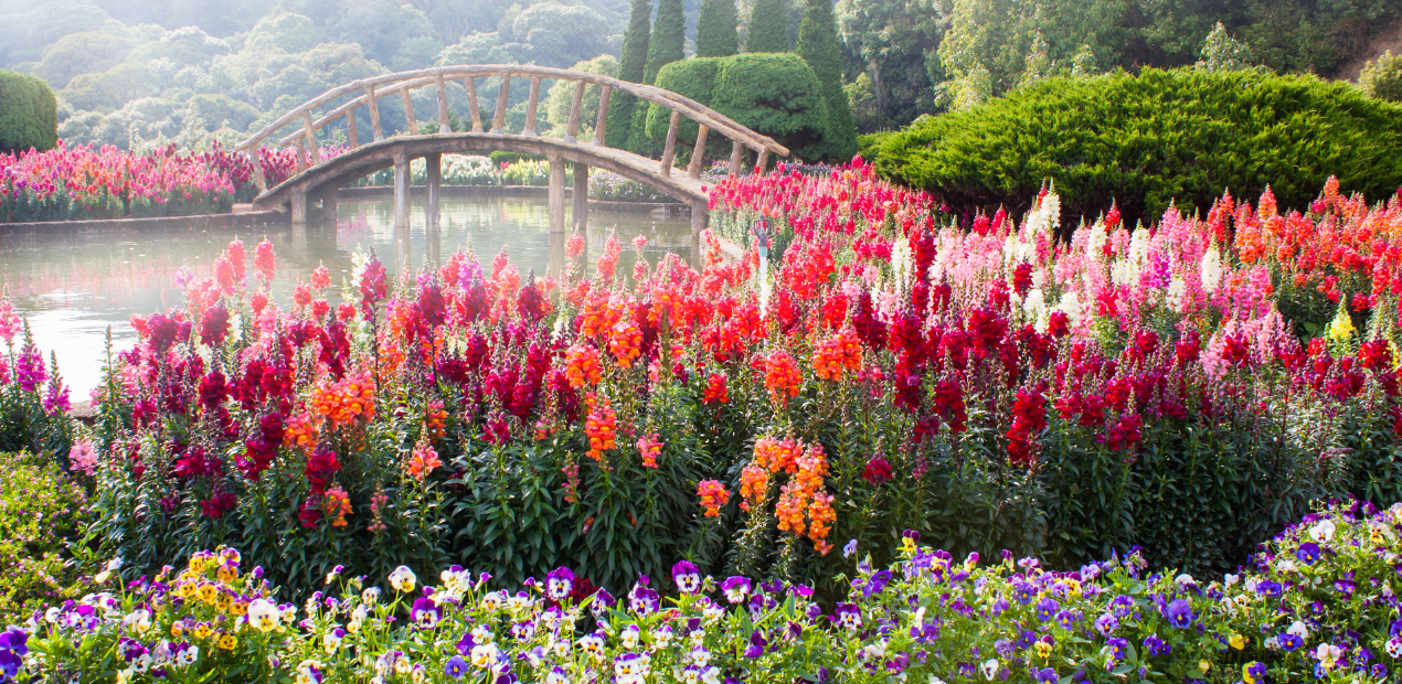 Jardim florido com lago tranquilo e ponte de madeira, representando conexão com a natureza e bem-estar emocional