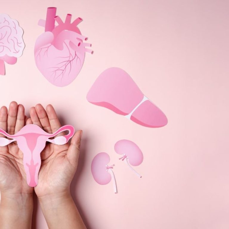 Menopausa quais os sintomas: mãos seguram recorte do útero enquanto cérebro, coração, fígado, rins, pulmões e intestino aparecem ao redor, sugerindo efeito sistêmico.