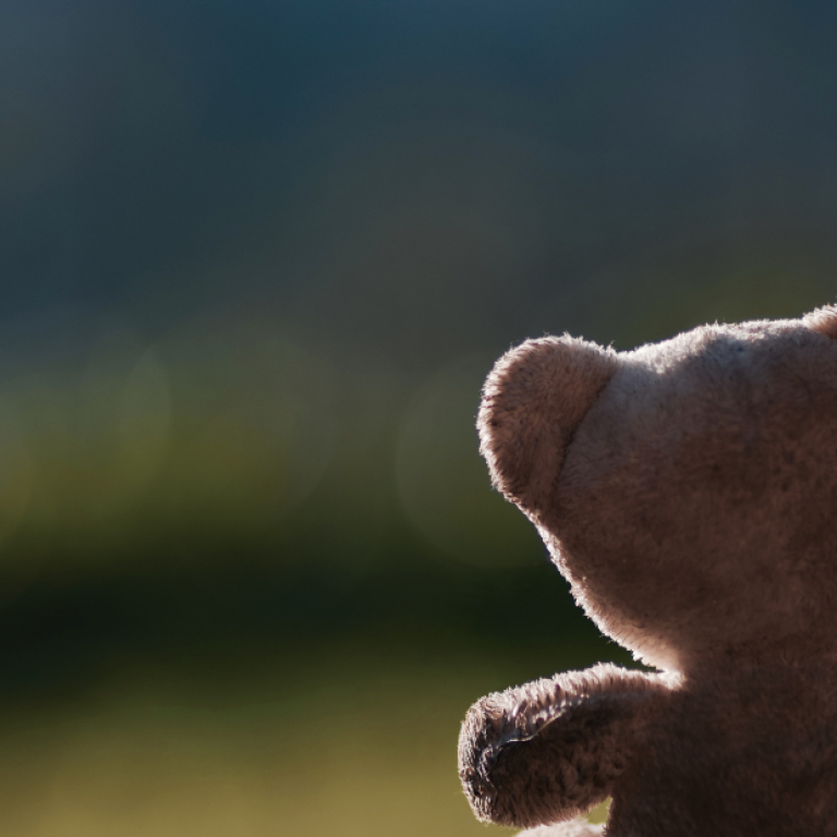 Foto em close da silhueta de um ursinho de pelúcia olhando para o horizonte, uma metáfora visual para a solidão ou o impacto no vínculo afetivo causados pelos sintomas da depressão pós parto.