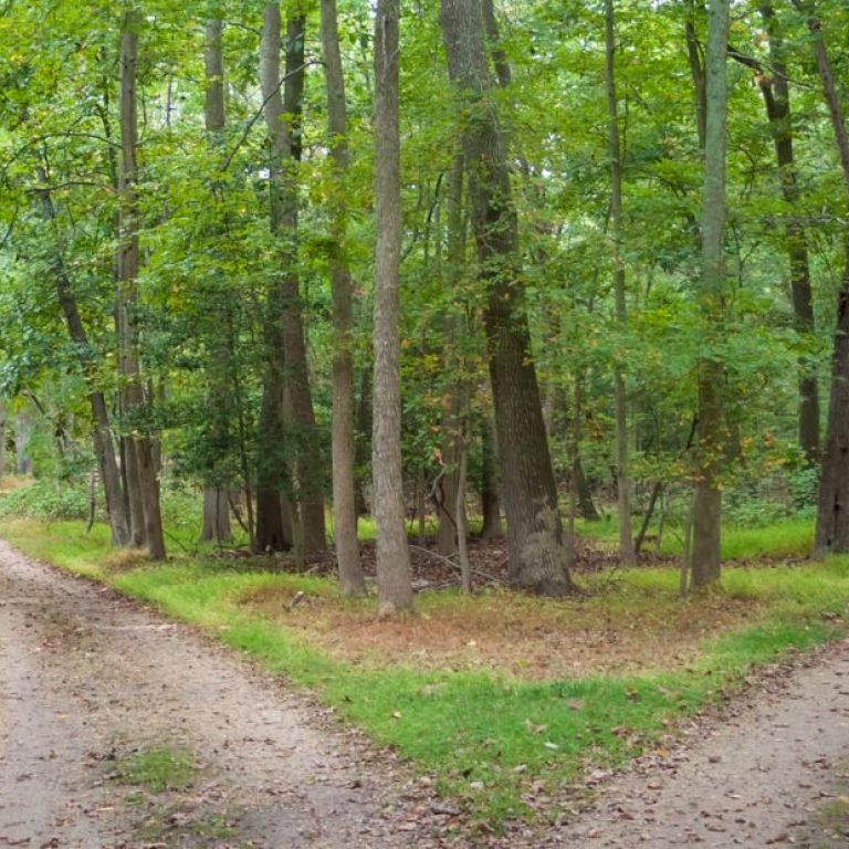 Psiquiatra ou psicólogo: quem você deve procurar?